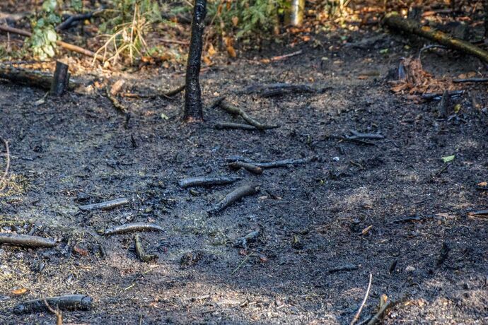 Murrhardt-Schlosshof: 400 qm Wald in Brand – Landwirte helfen mit Wasserfaessern