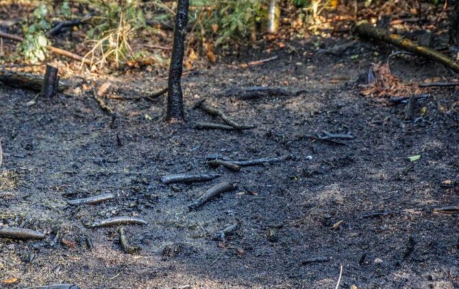 Murrhardt-Schlosshof: 400 qm Wald in Brand – Landwirte helfen mit Wasserfaessern