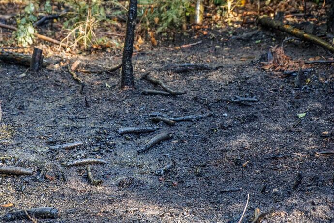 Murrhardt-Schlosshof: 400 qm Wald in Brand – Landwirte helfen mit Wasserfaessern