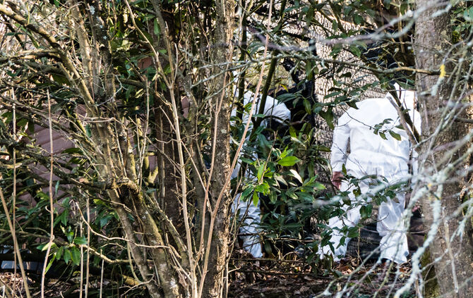 Leichenfund, Teil 2 - Bild 01_0