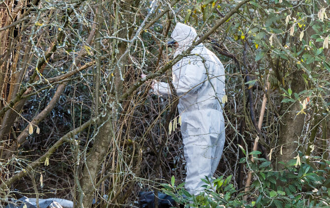 Leichenfund, Teil 2 - Bild 03_0