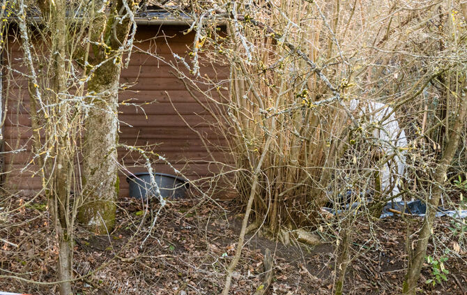 Leichenfund, Teil 2 - Bild 02_5