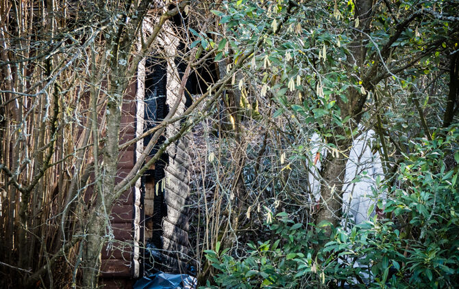 Leichenfund, Teil 2 - Bild 07_7