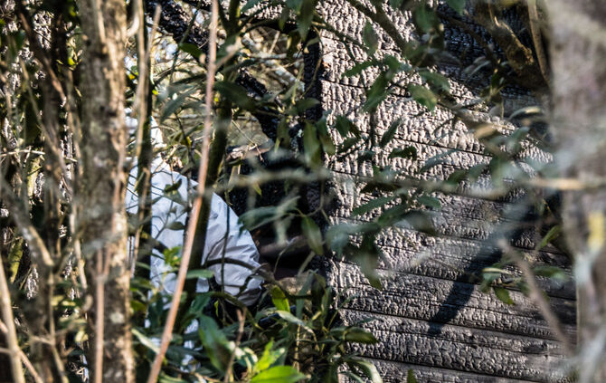 Leichenfund, Teil 2 - Bild 08_9