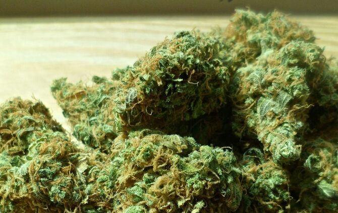 cannabis symbol_0