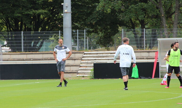 Matarazzo VfB Training