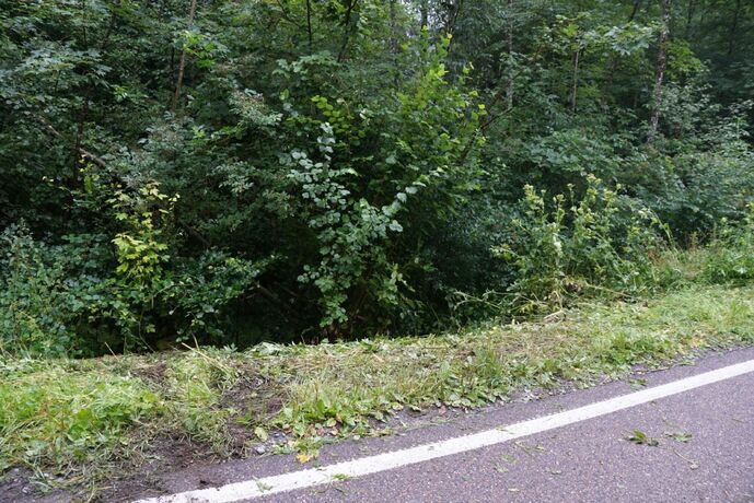 Welzheim: Fahrerin kommt von Fahrbahn ab und landet in Boeschung