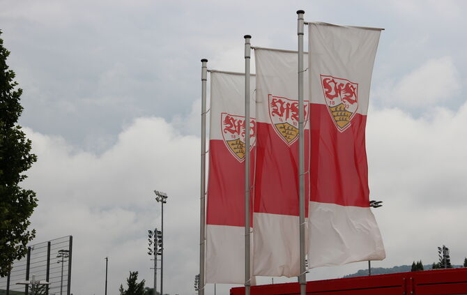 VfB Symbolbild Fahnen Flagge