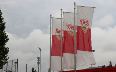 VfB Symbolbild Fahnen Flagge