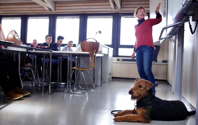 Schulhund Panya Schorndorf_0