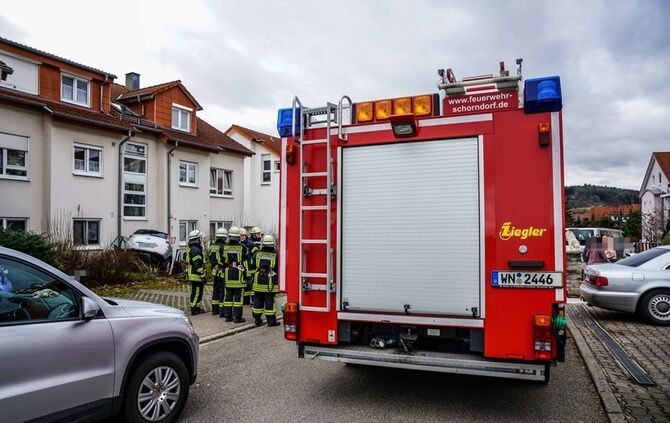 Seniorin landet mit Pkw im Hauseingang - Bild 01_1