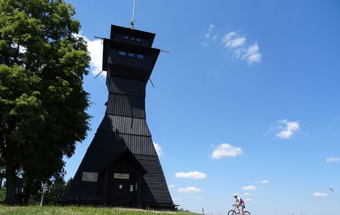 muwa-tour-7