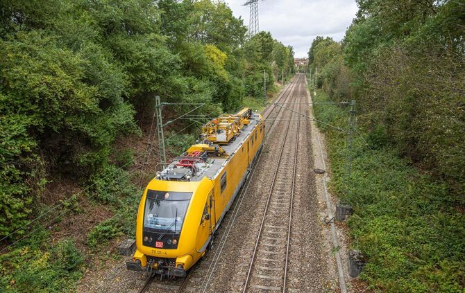 Baum fällt auf S-Bahn Oberleitung - Bild 05_1