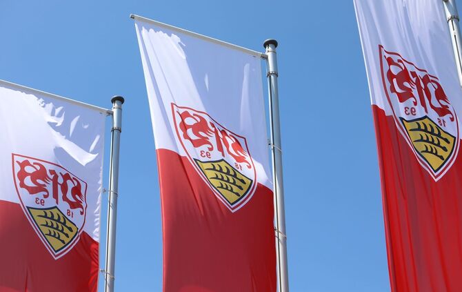 VfB Stuttgart Offizielles Mannschaftsfoto Saison 2018/19_0