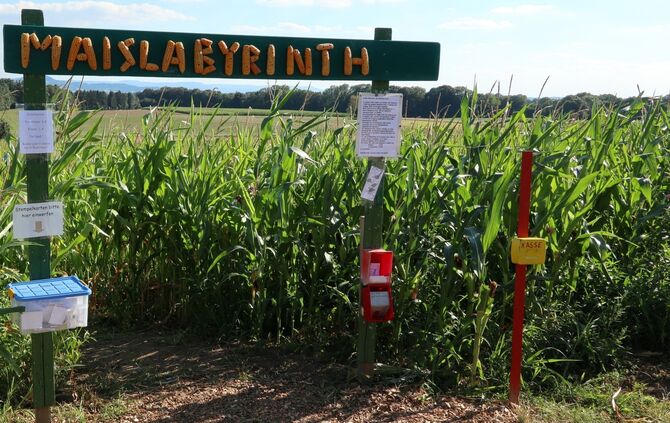 Maislabyrinth